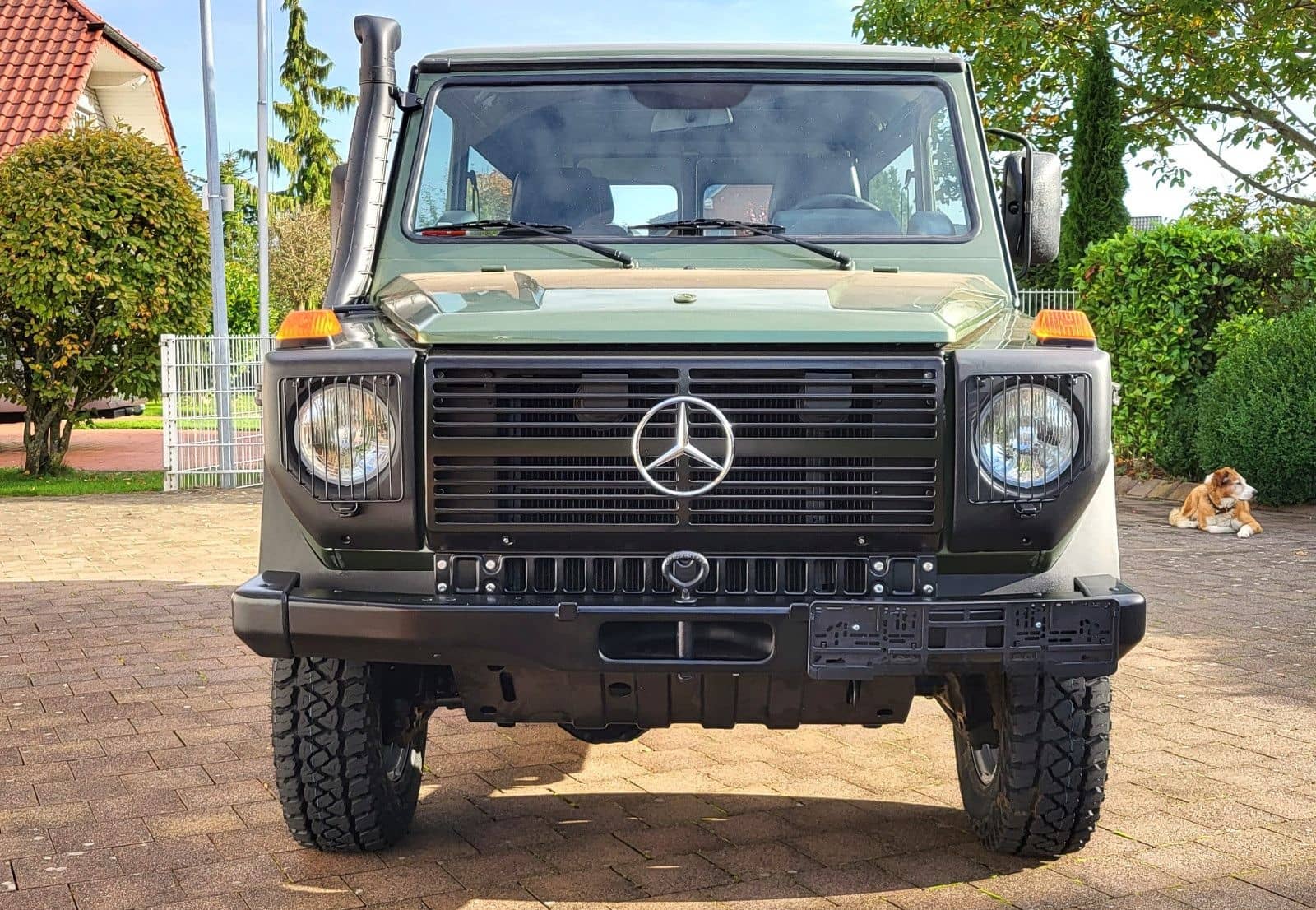 Mercedes-Benz 300GD"Zypressengrün"1 von 372 Stück! foto 5