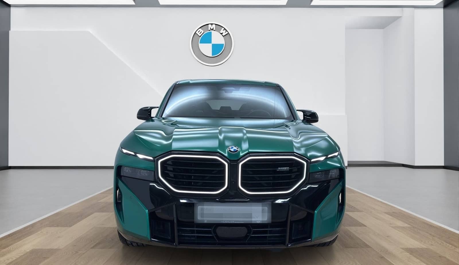 BMW XM 50e [LC Prof., DA Prof., HK Sound, AHK, 360°] foto 11