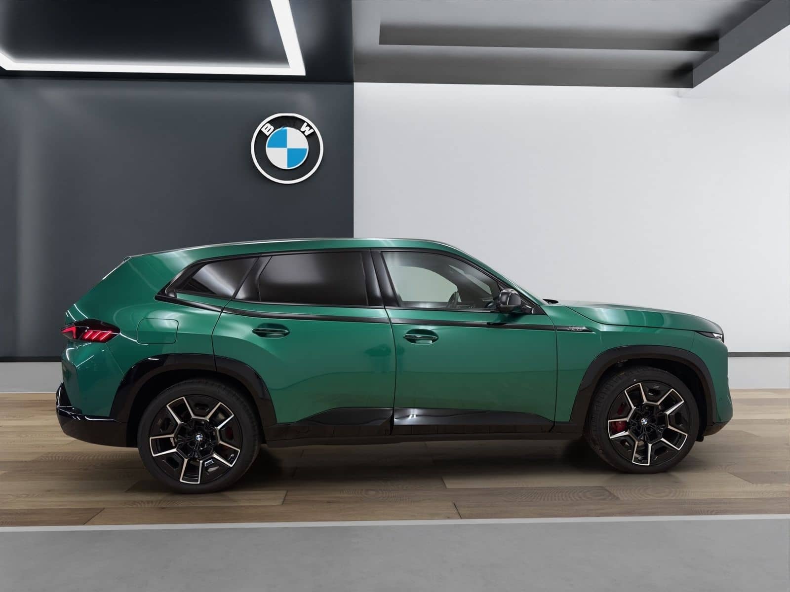 BMW XM 50e [LC Prof., DA Prof., HK Sound, AHK, 360°] foto 9