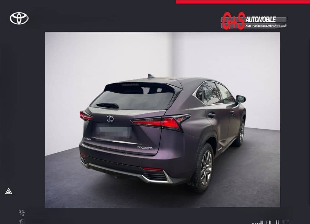 Lexus NX 300h E-FOUR Launch Edition foto 15
