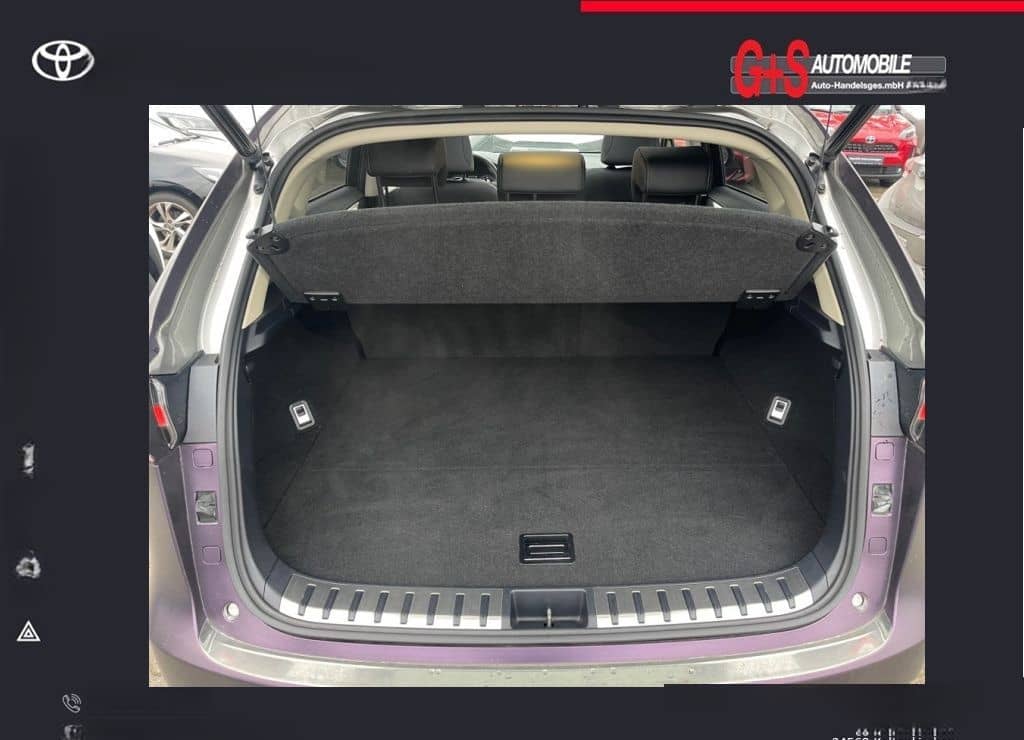 Lexus NX 300h E-FOUR Launch Edition foto 10