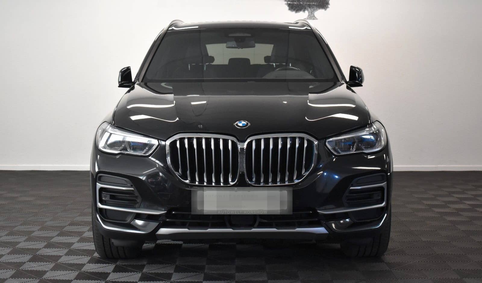 BMW X5 xDrive 30 d xLine *LASER *AHK *HUD *VIRTUAL foto 2