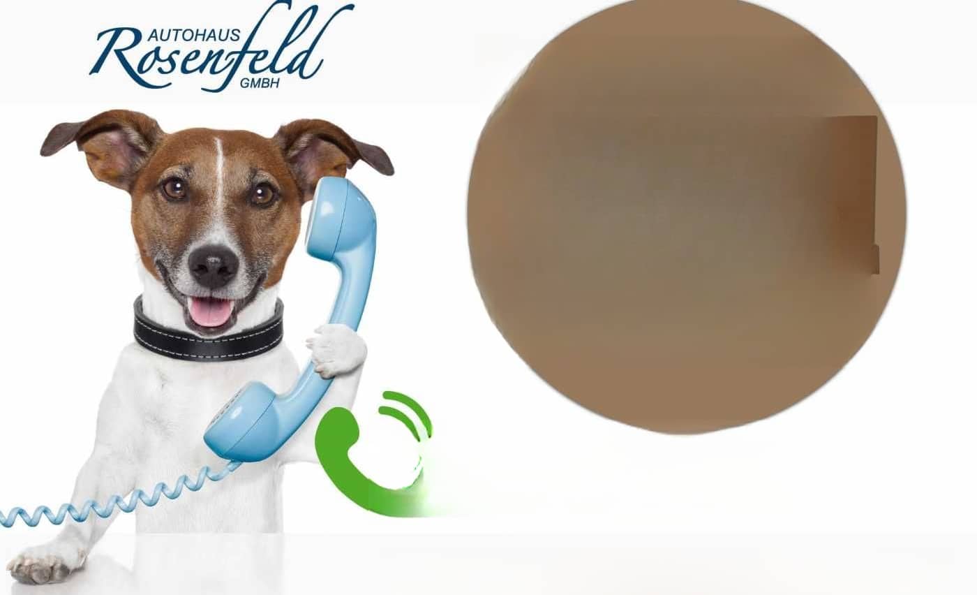 Volkswagen T6 DSG LANG LR  Standhz.+2 Schiebet.+Flügelt.+ S foto 3