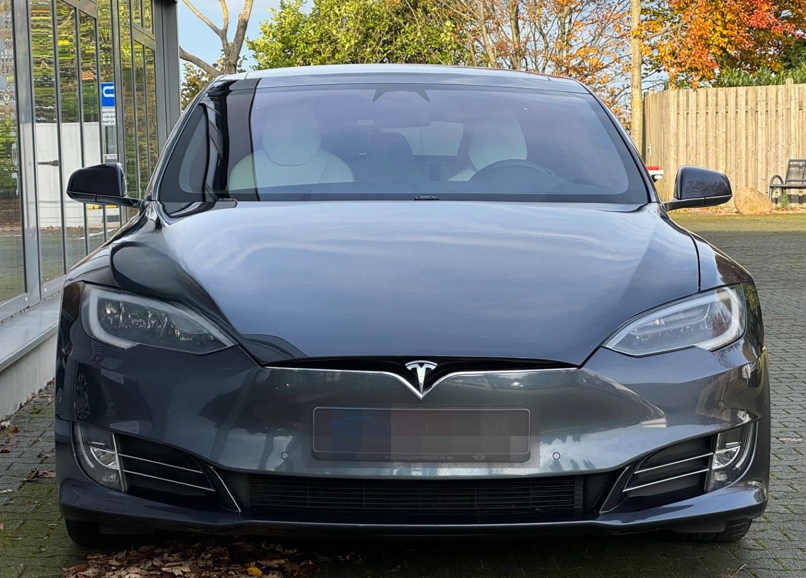 Tesla Model S 100D EAP Pano MCU 2 CCS foto 2