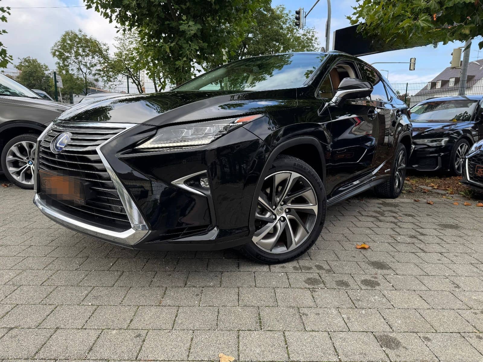 Lexus RX 450/Panorama/Kamera foto 2