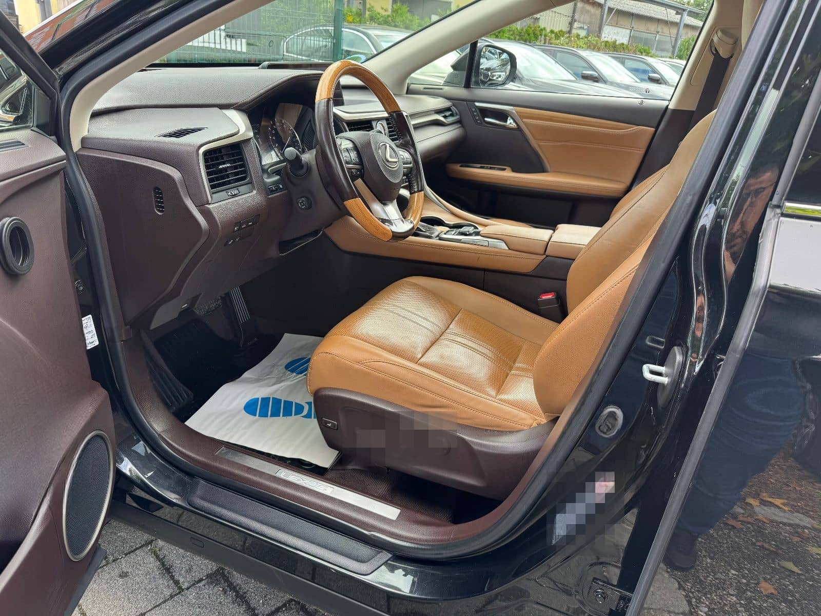 Lexus RX 450/Panorama/Kamera foto 19