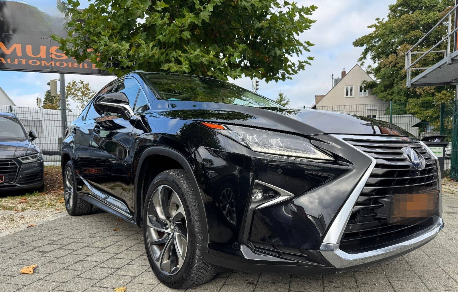 Lexus RX 450/Panorama/Kamera foto 4