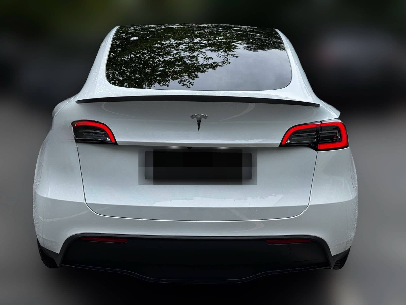 Tesla Model Y Performance Dual AWD*GARANTIE*PILOT*ACC* foto 5