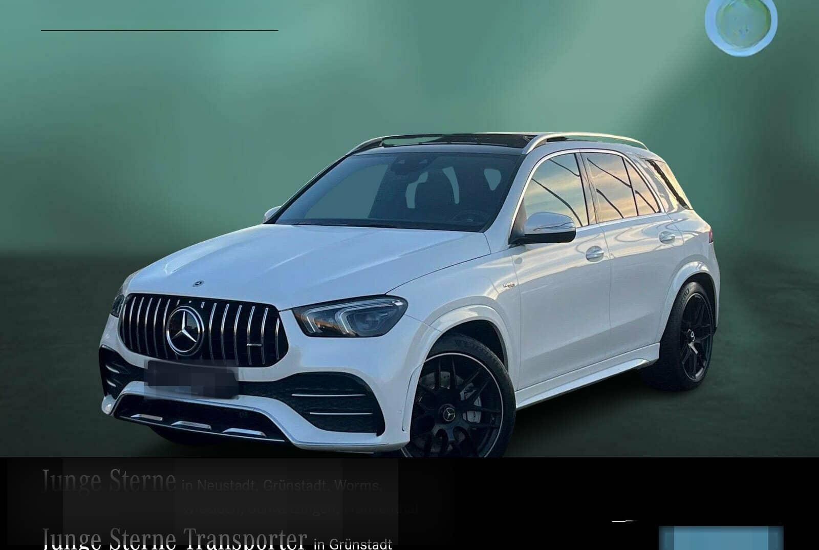 Mercedes-Benz GLE 53 AMG 4M+ PERF-AGA+AHK+STHZ+DISTR+PANO+BURM foto 1