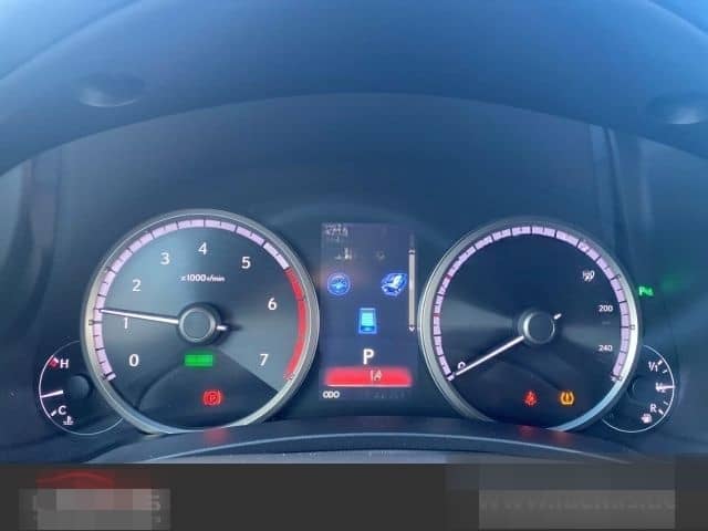 Lexus NX 300 h E-Four F-Sport*CARPLAY *LEDER*LED*HUD* foto 14