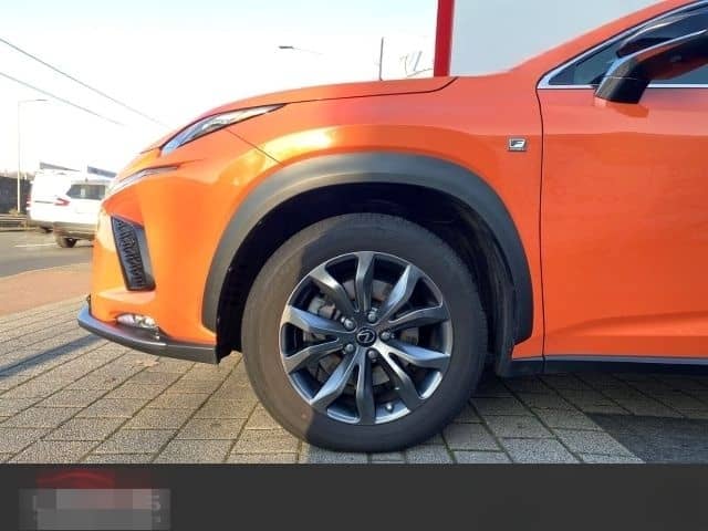 Lexus NX 300 h E-Four F-Sport*CARPLAY *LEDER*LED*HUD* foto 7