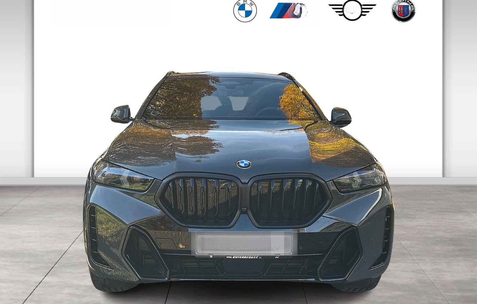 BMW X6 xDrive40d M Sport Gestiksteuerung HK HiFi foto 2