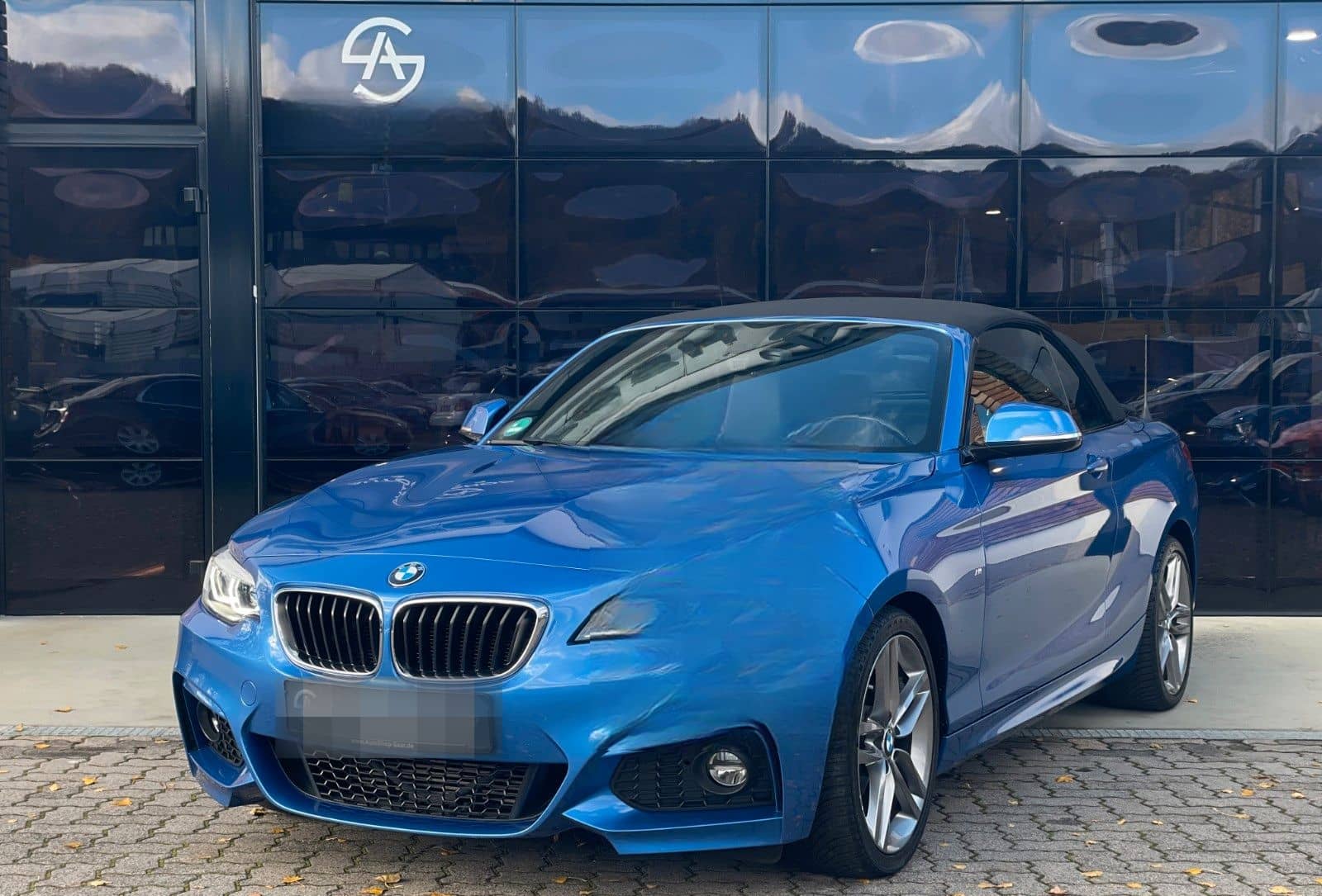 BMW Cabrio 220 d M Sport PDC/NAVI/LED foto 1