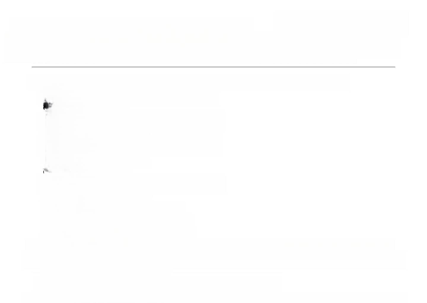 Volkswagen Tiguan Highline BMT TDI 2.0 Pano AHK ab. Navi AC foto 15