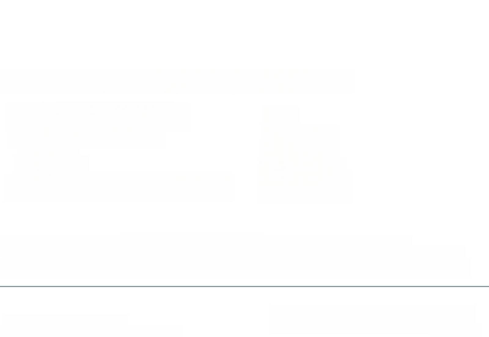 Audi RS Q8 4.0 TFSI quattro Pano Matrix LED Assistenz foto 3