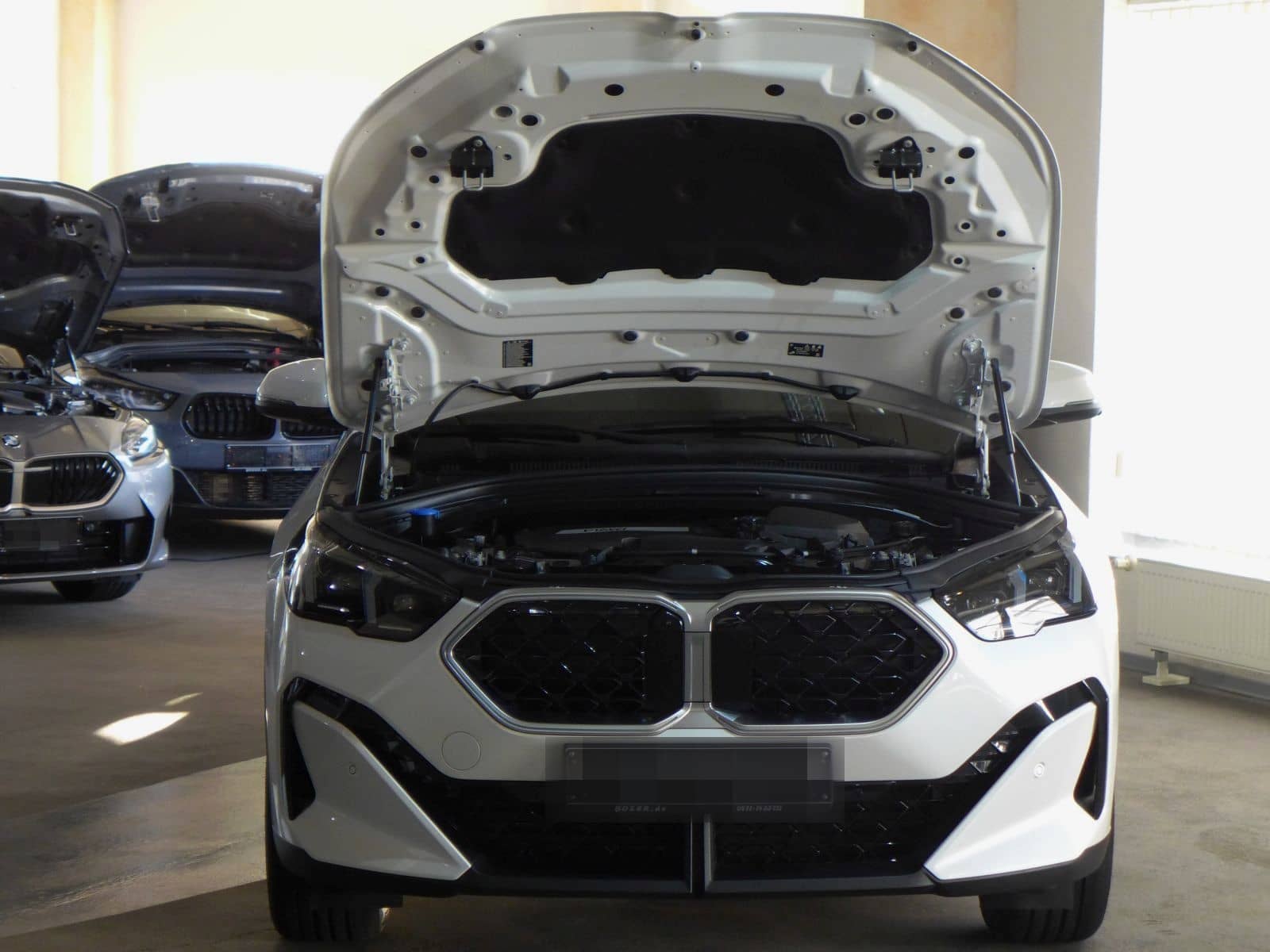 BMW X2 d U10 AHK,360° Kamera,HUD,Abstandstempomat foto 19