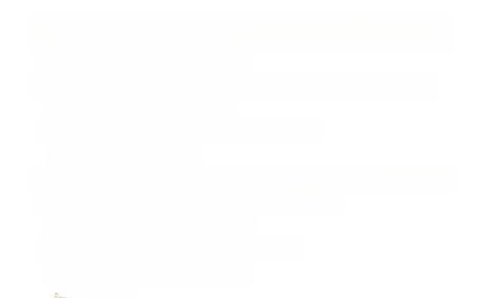 Volkswagen T-Cross 1.0 TSI OPF ACTIVE mit Navi/Sitzheizung foto 14