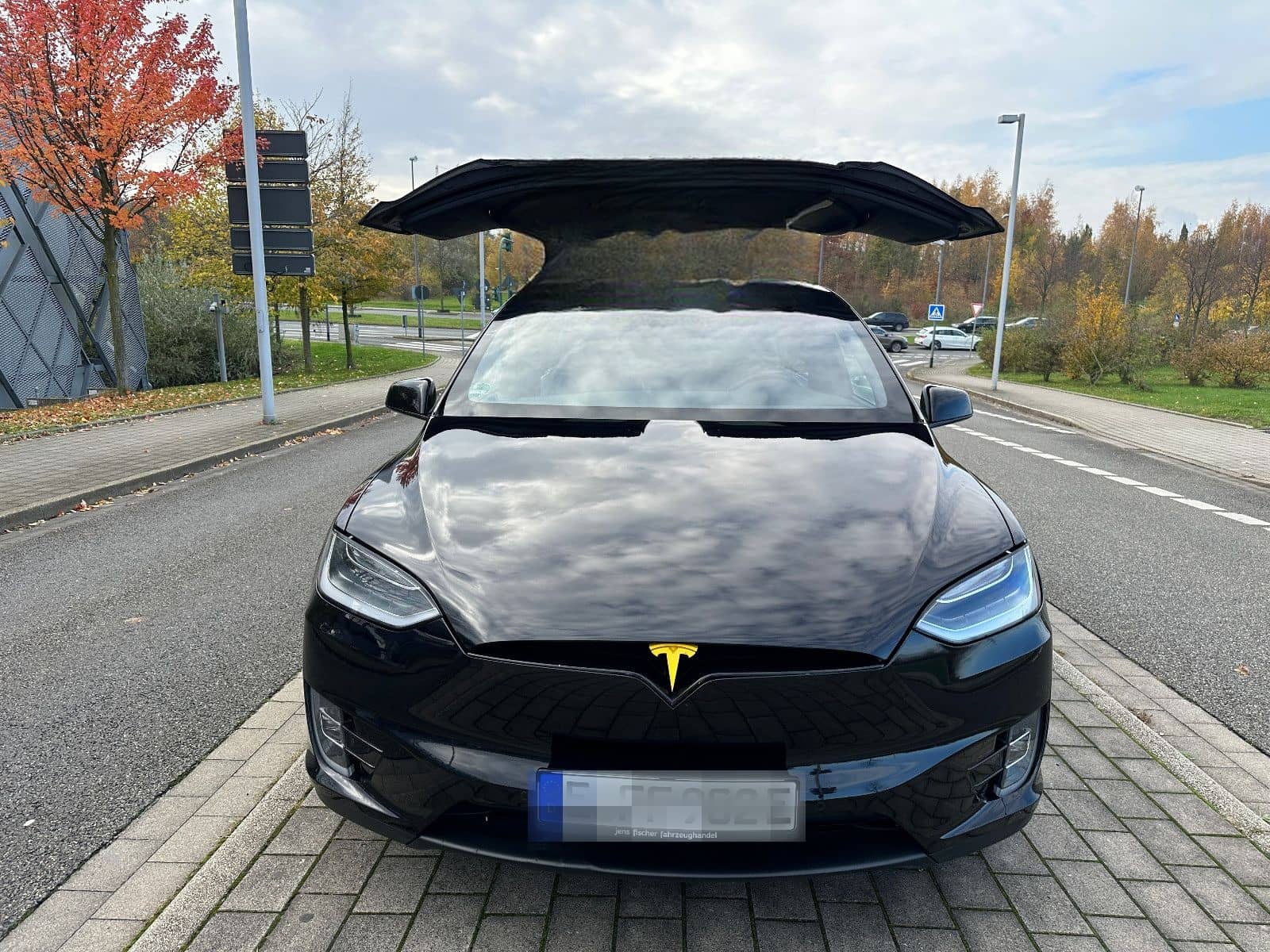 Tesla Model X 100 D Performance Dual foto 19