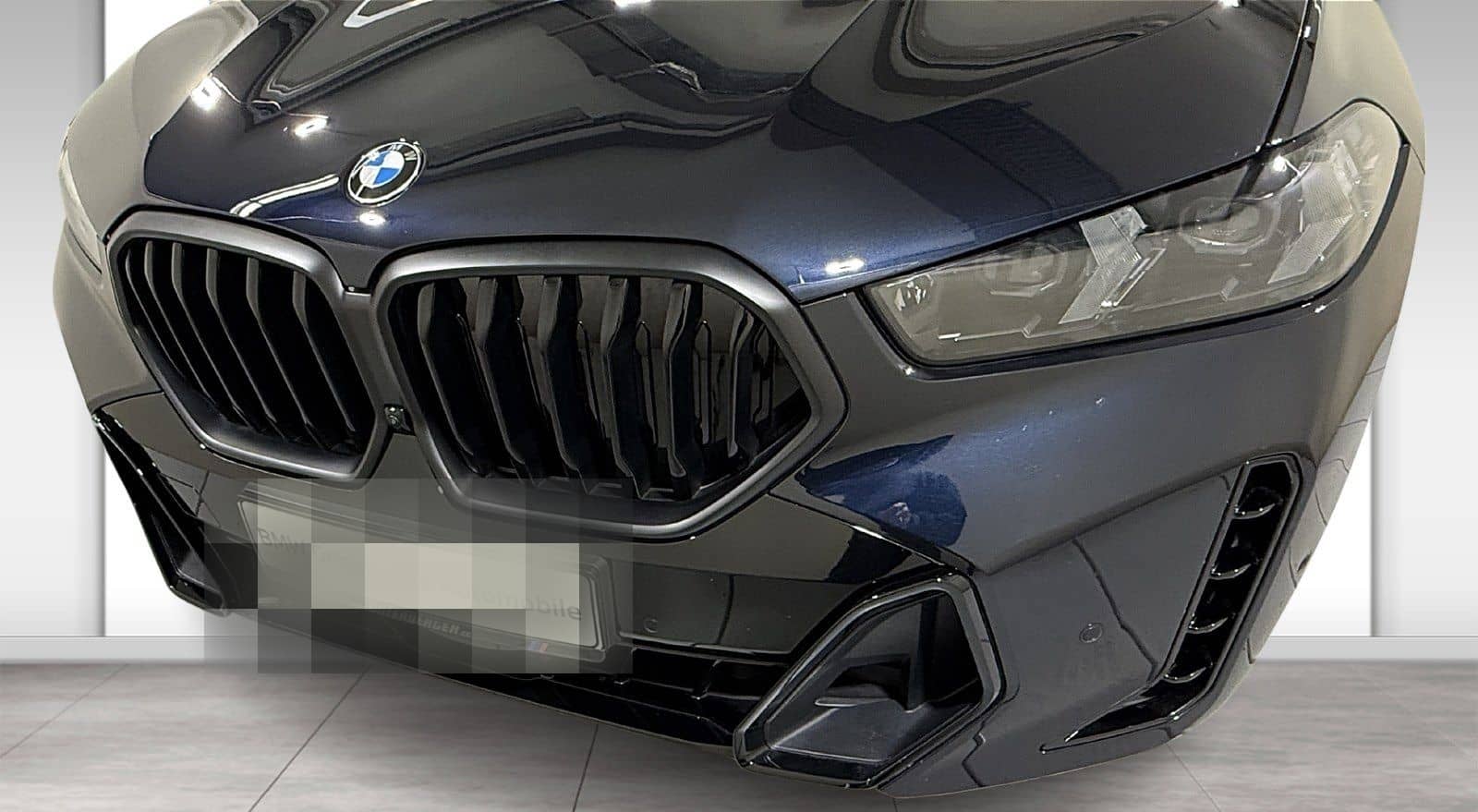 BMW X6 xDrive40d M Sportpaket Pro Luftfeder Standhzg foto 6