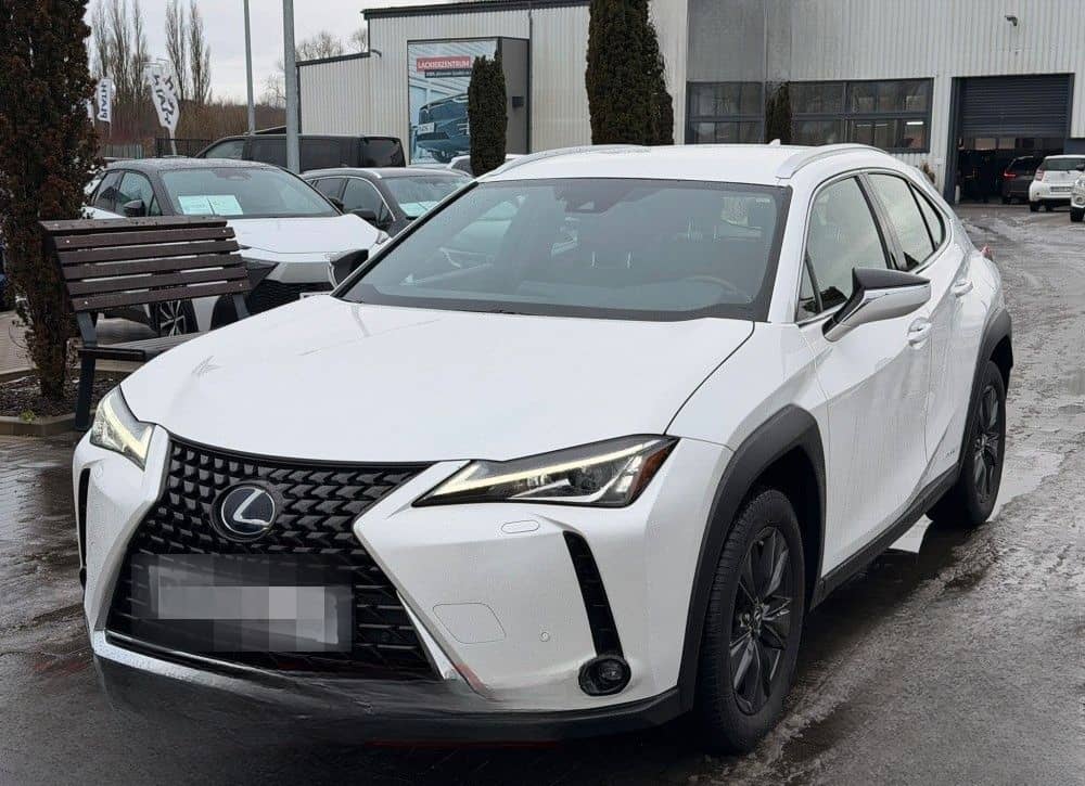 Lexus UX 250 h Launch Edition foto 1