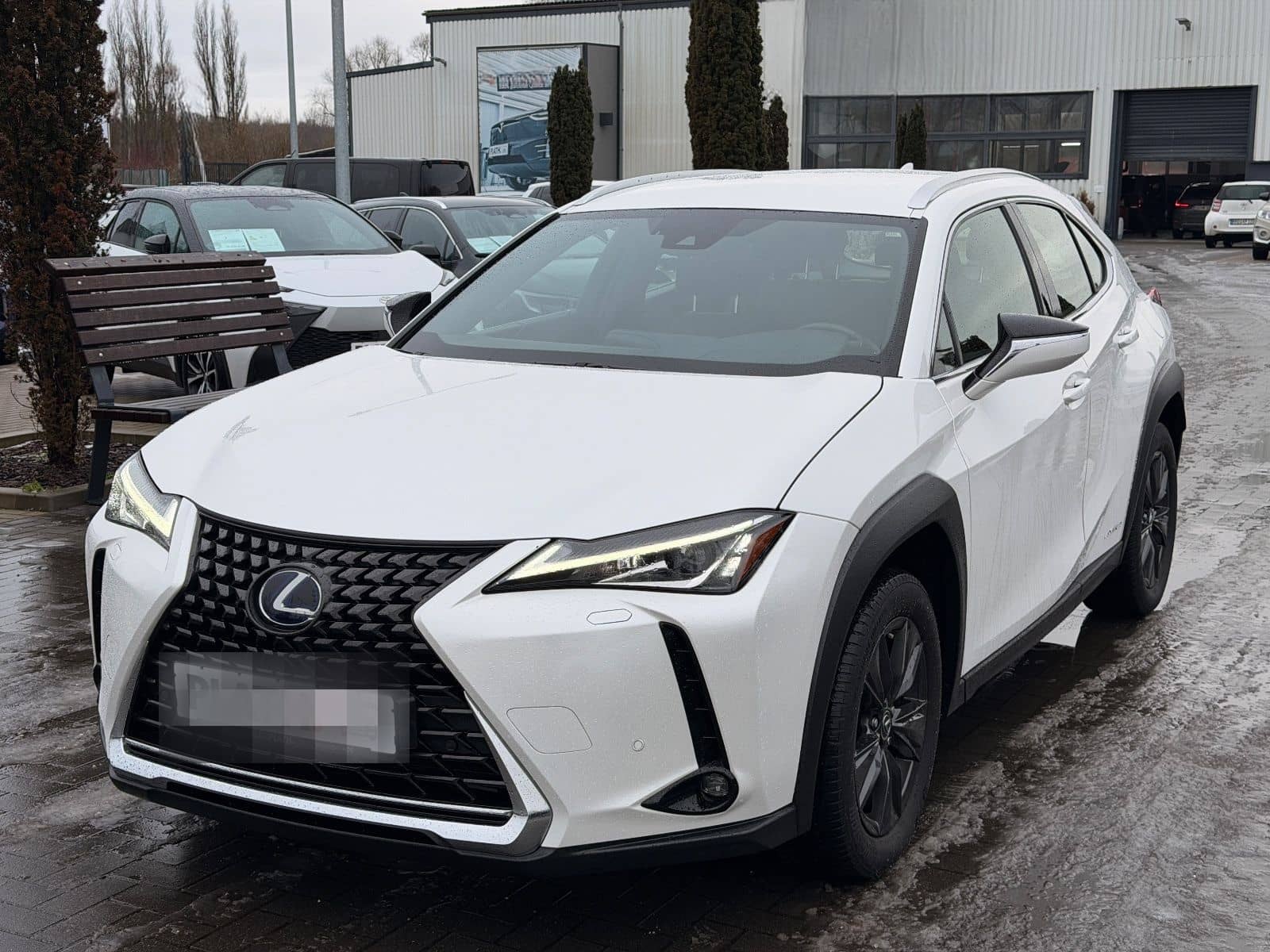 Lexus UX 250 h Launch Edition foto 2