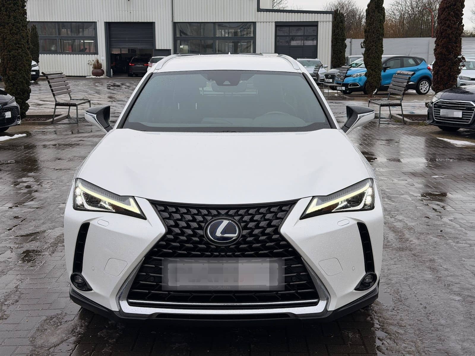 Lexus UX 250 h Launch Edition foto 3