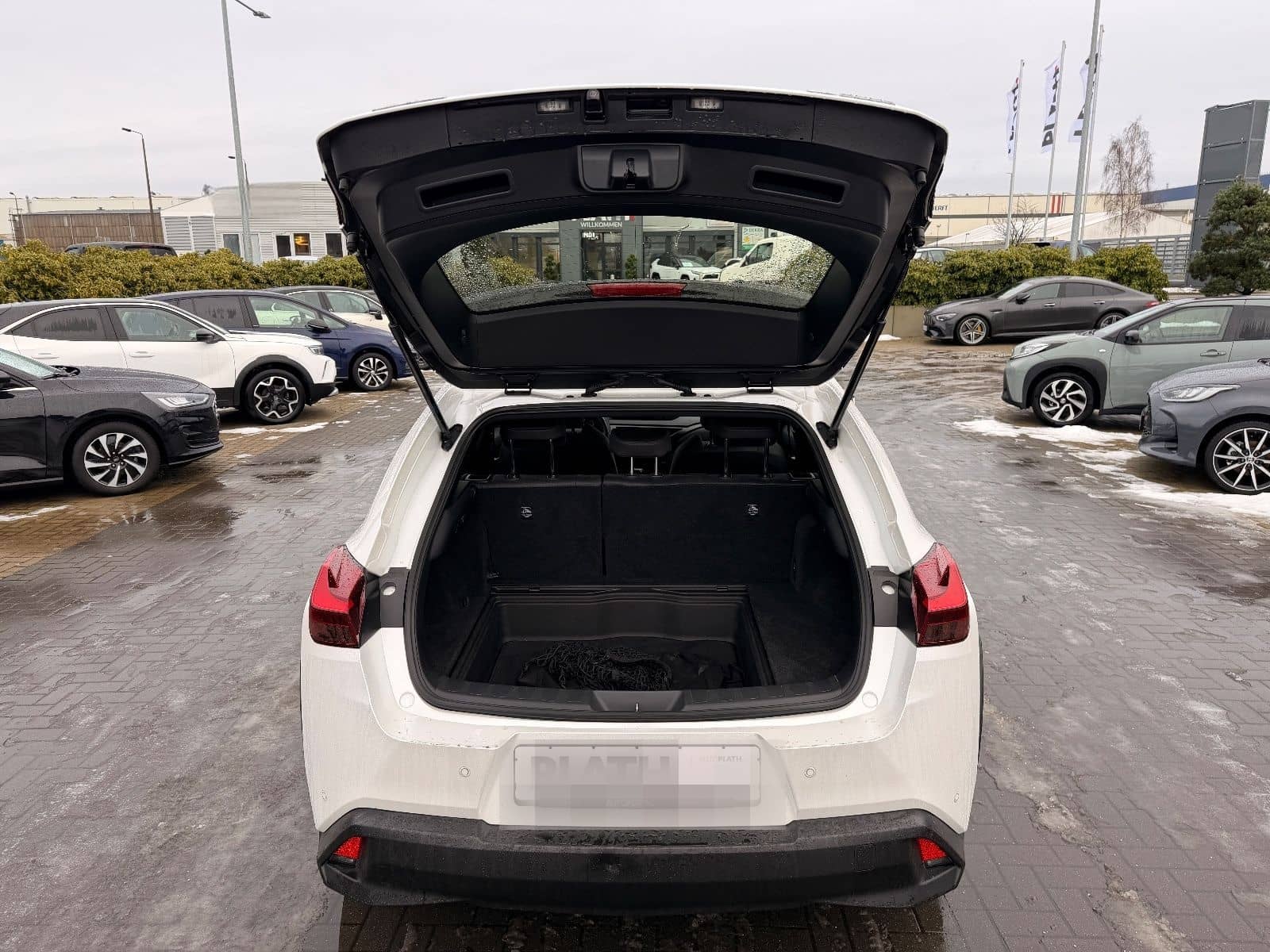 Lexus UX 250 h Launch Edition foto 22