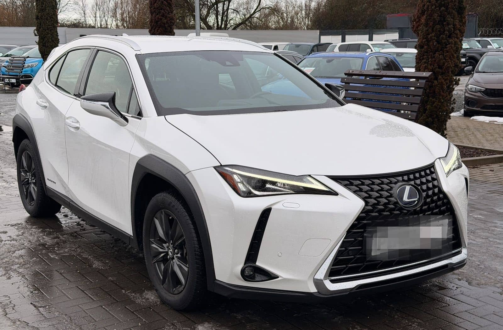 Lexus UX 250 h Launch Edition foto 4