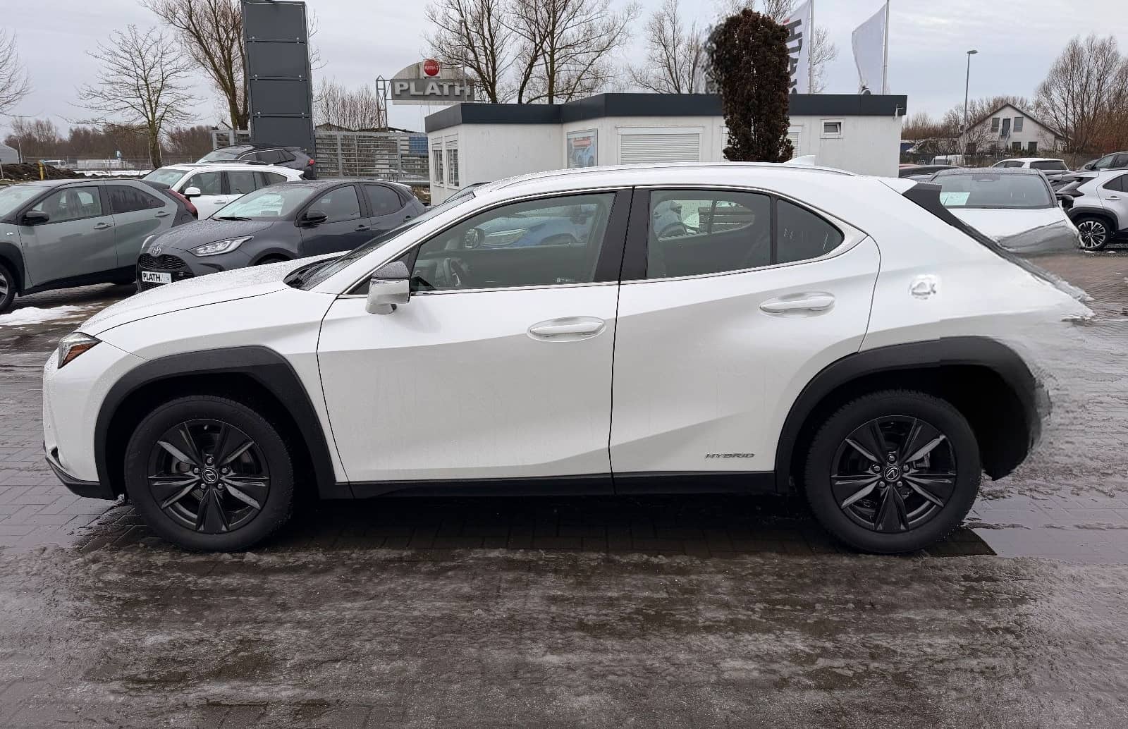 Lexus UX 250 h Launch Edition foto 8