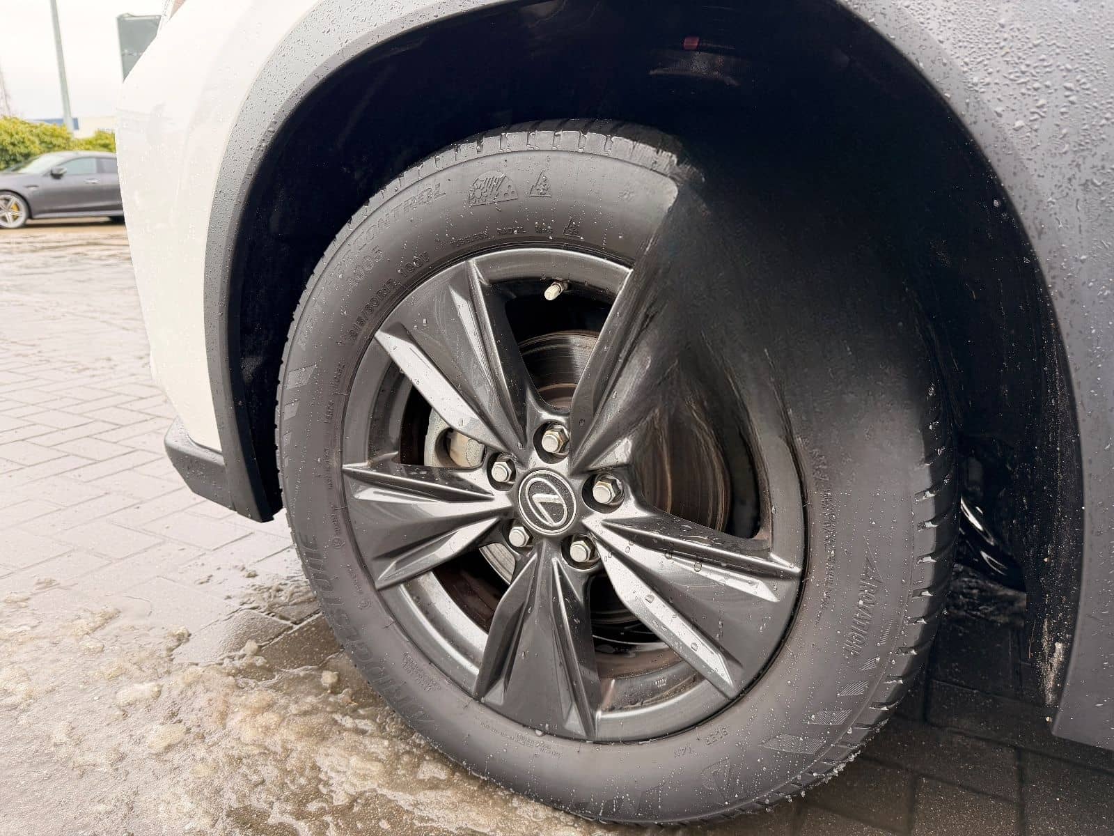 Lexus UX 250 h Launch Edition foto 9