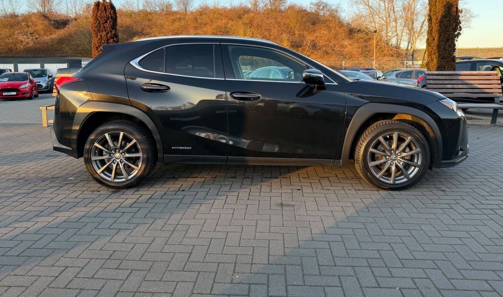 Lexus UX 250 h Launch Edition foto 4