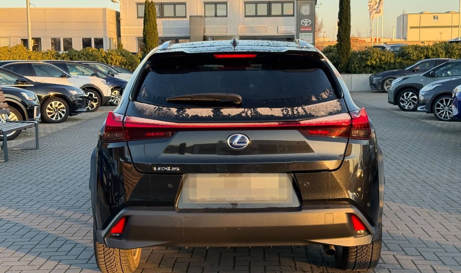 Lexus UX 250 h Launch Edition foto 6
