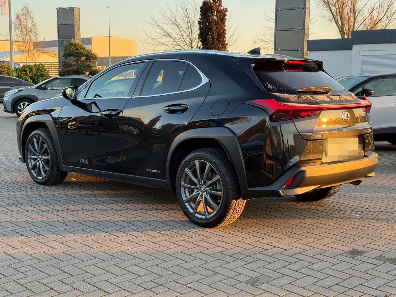 Lexus UX 250 h Launch Edition foto 7