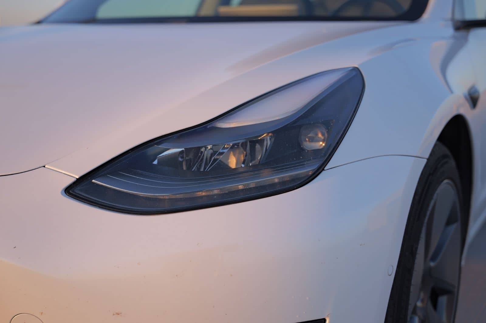 Tesla Model 3 *Stand + Reichweite*Panorama*Autopilot foto 18