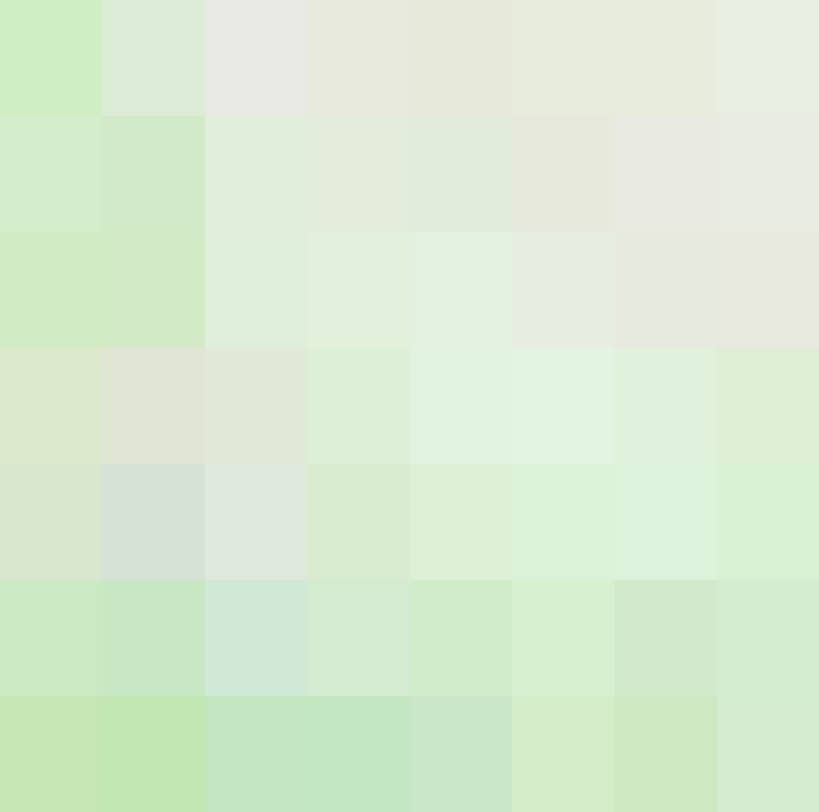 Lexus RC 350 AWD-Leder-Allrad-Bi-Xenon- foto 16