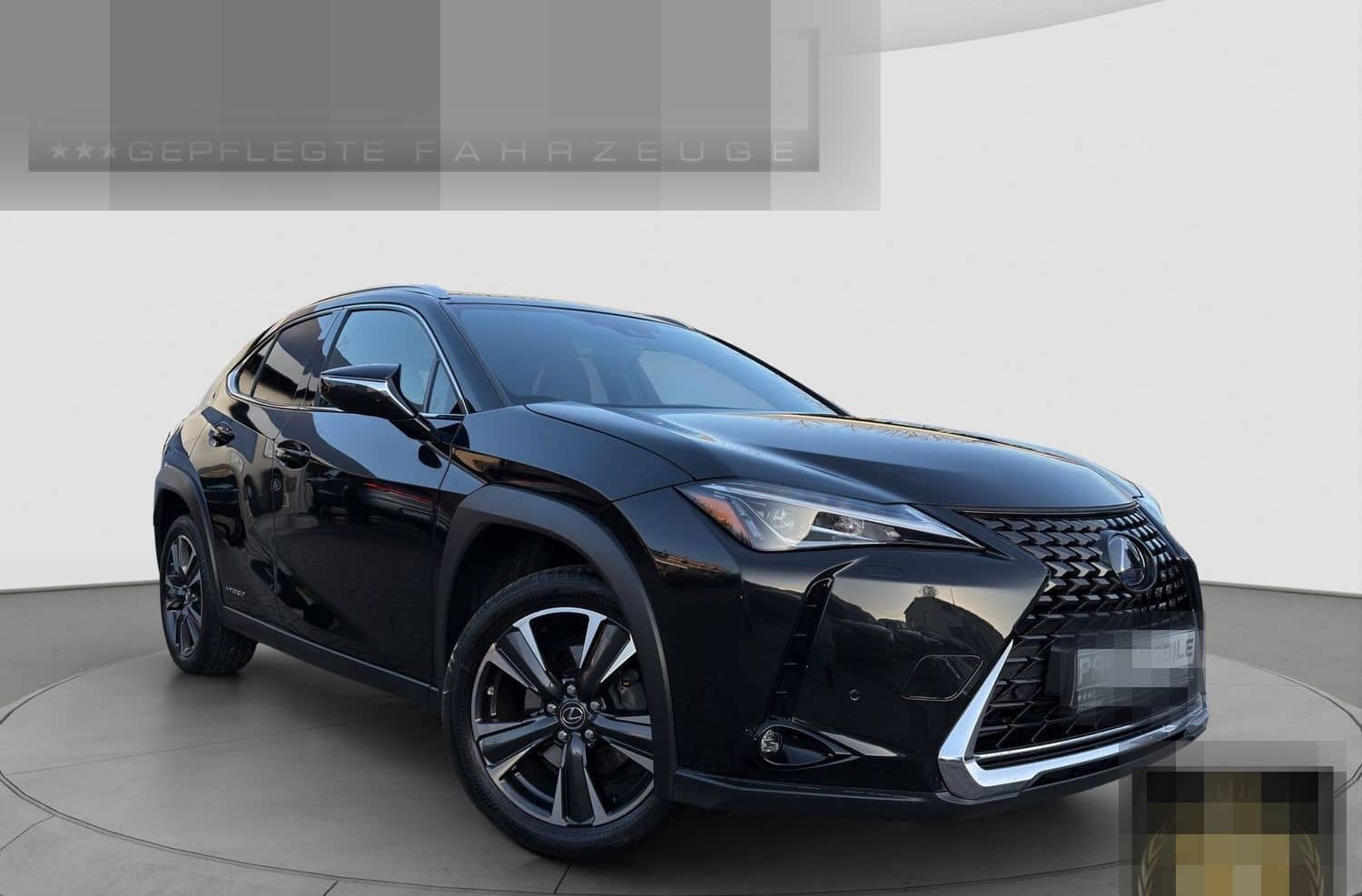 Lexus Andere UX 250 h Navi ACC LED R-Cam PDC v+h foto 1