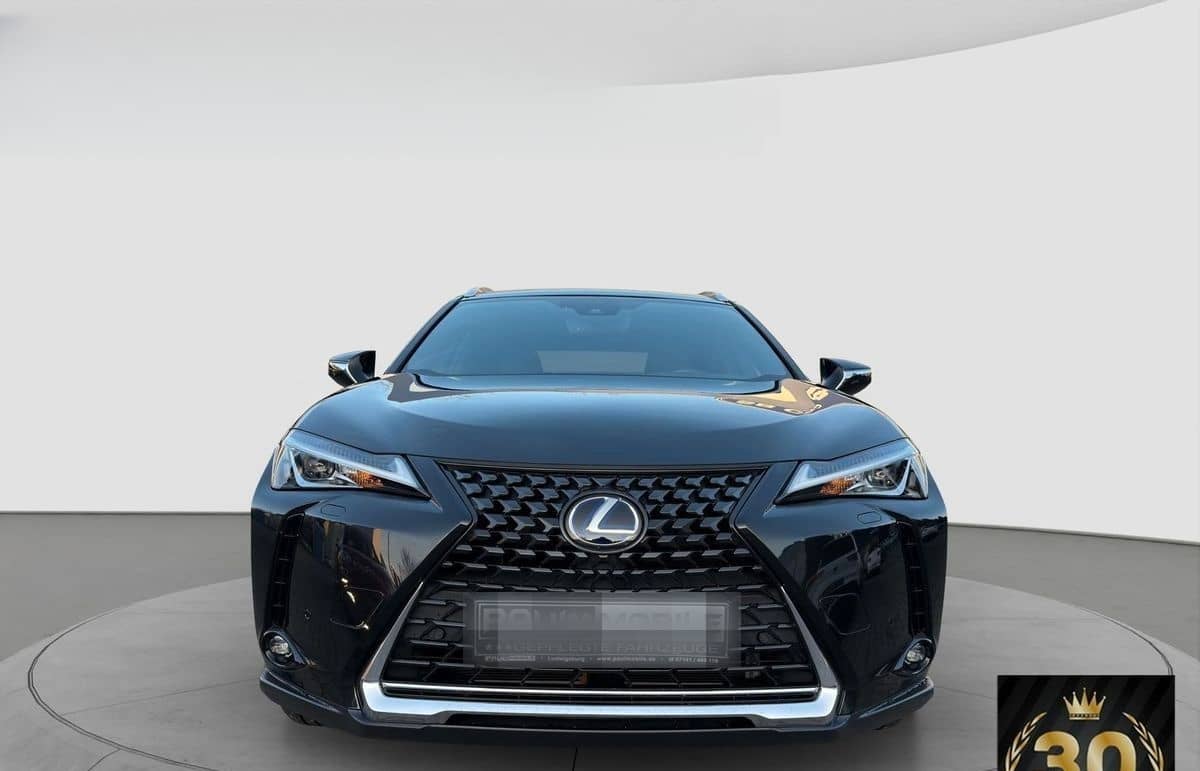 Lexus Andere UX 250 h Navi ACC LED R-Cam PDC v+h foto 2