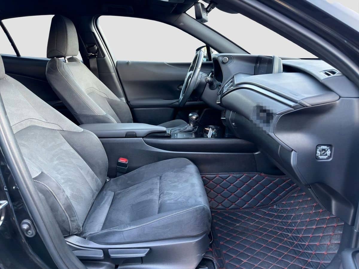 Lexus Andere UX 250 h Navi ACC LED R-Cam PDC v+h foto 12