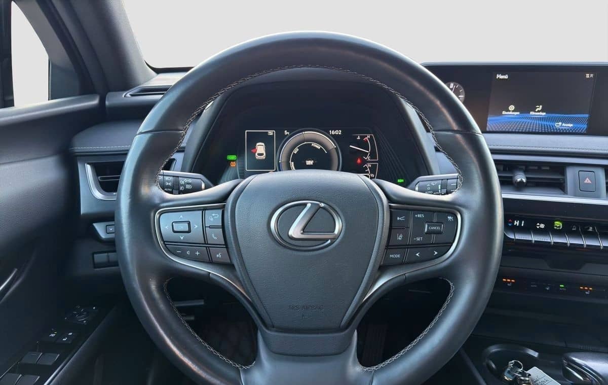Lexus Andere UX 250 h Navi ACC LED R-Cam PDC v+h foto 16
