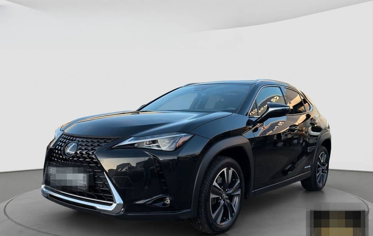 Lexus Andere UX 250 h Navi ACC LED R-Cam PDC v+h foto 3