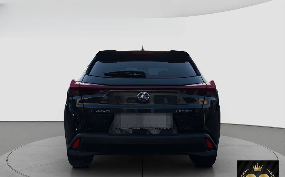 Lexus Andere UX 250 h Navi ACC LED R-Cam PDC v+h foto 5