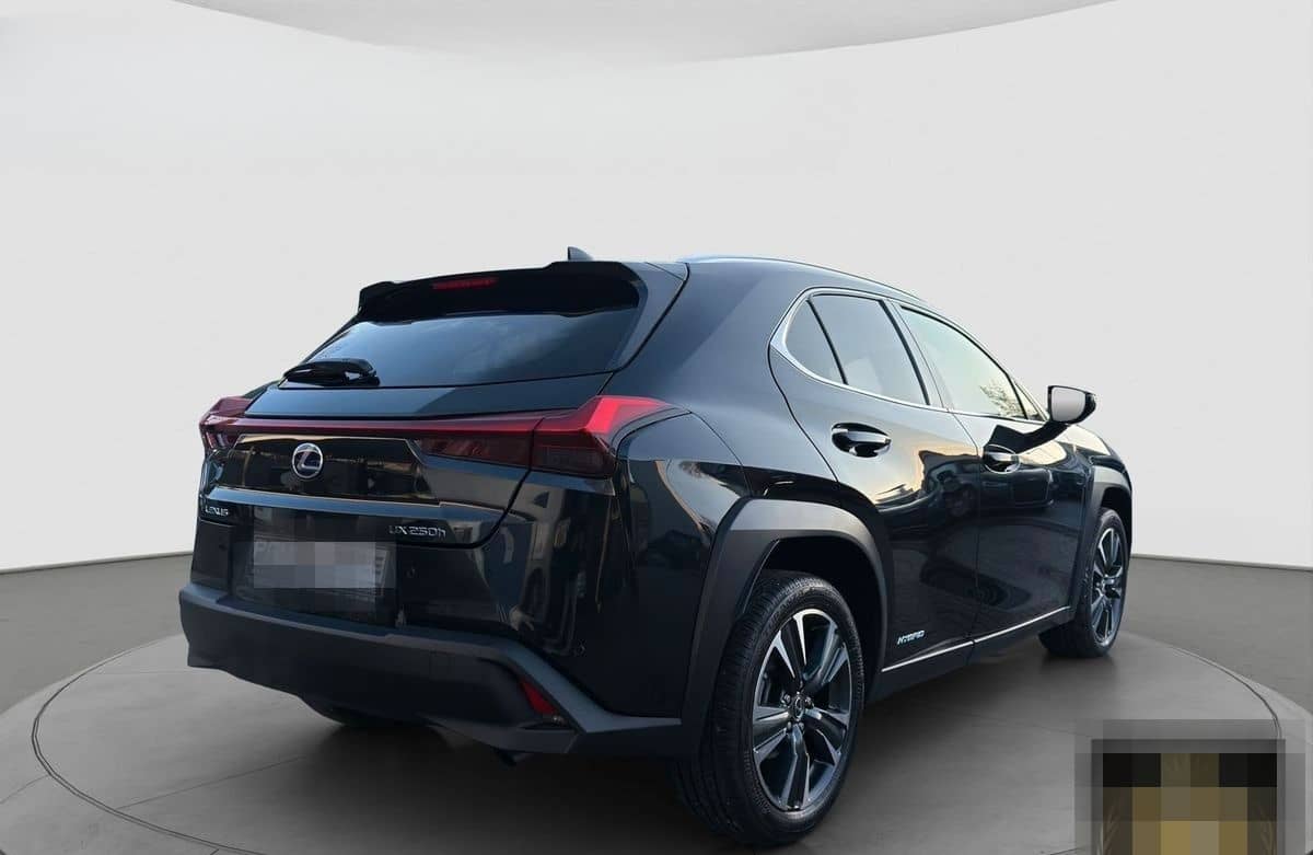 Lexus Andere UX 250 h Navi ACC LED R-Cam PDC v+h foto 6