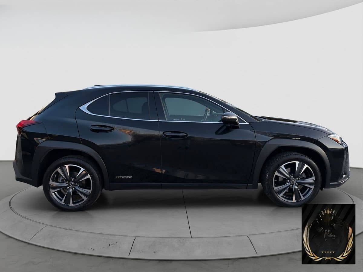 Lexus Andere UX 250 h Navi ACC LED R-Cam PDC v+h foto 7