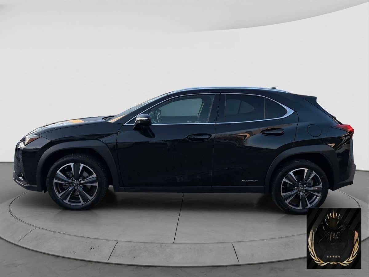 Lexus Andere UX 250 h Navi ACC LED R-Cam PDC v+h foto 9