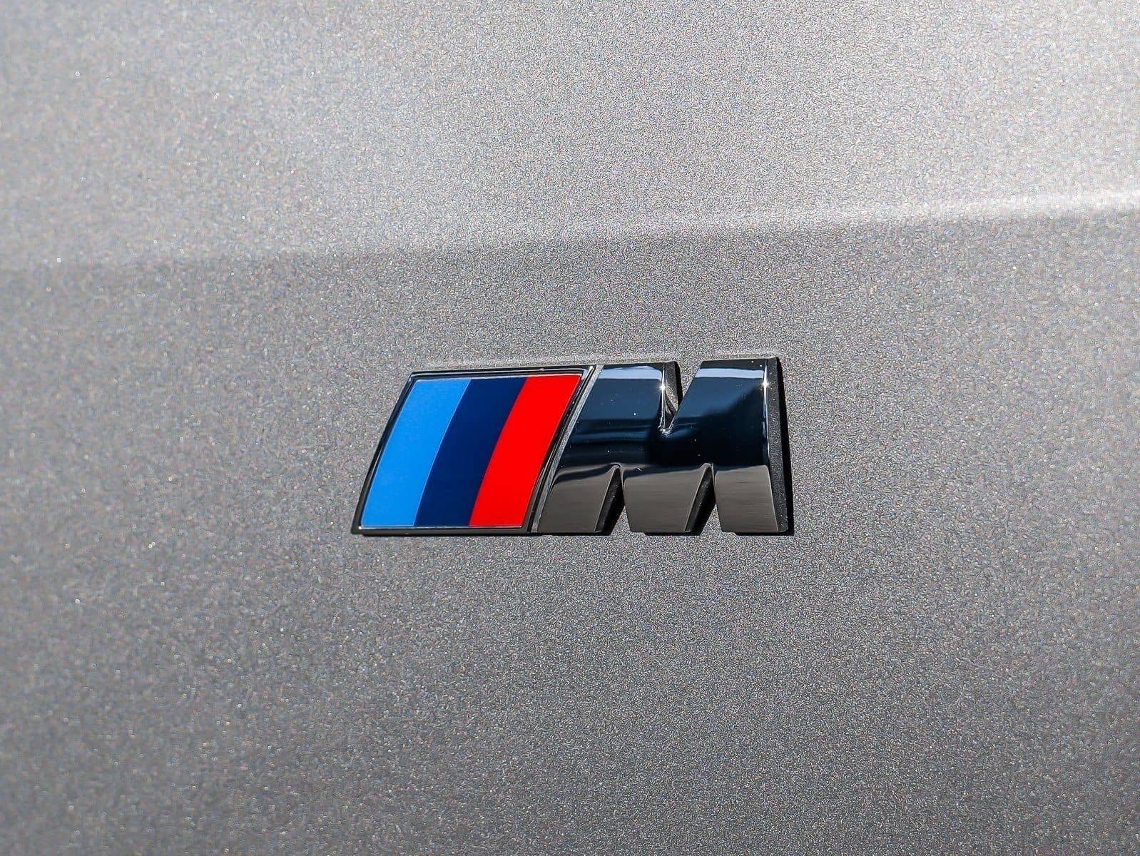 BMW X7 xDrive40d M Sport HUD PANO ACC AHK RFK NAVI foto 23