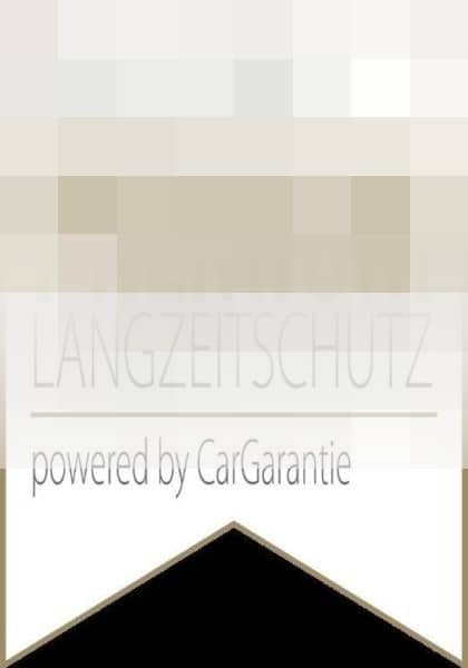 Volkswagen Polo 1.0 TSI Life **SITZHEIZUNG**PDC**LED** foto 13