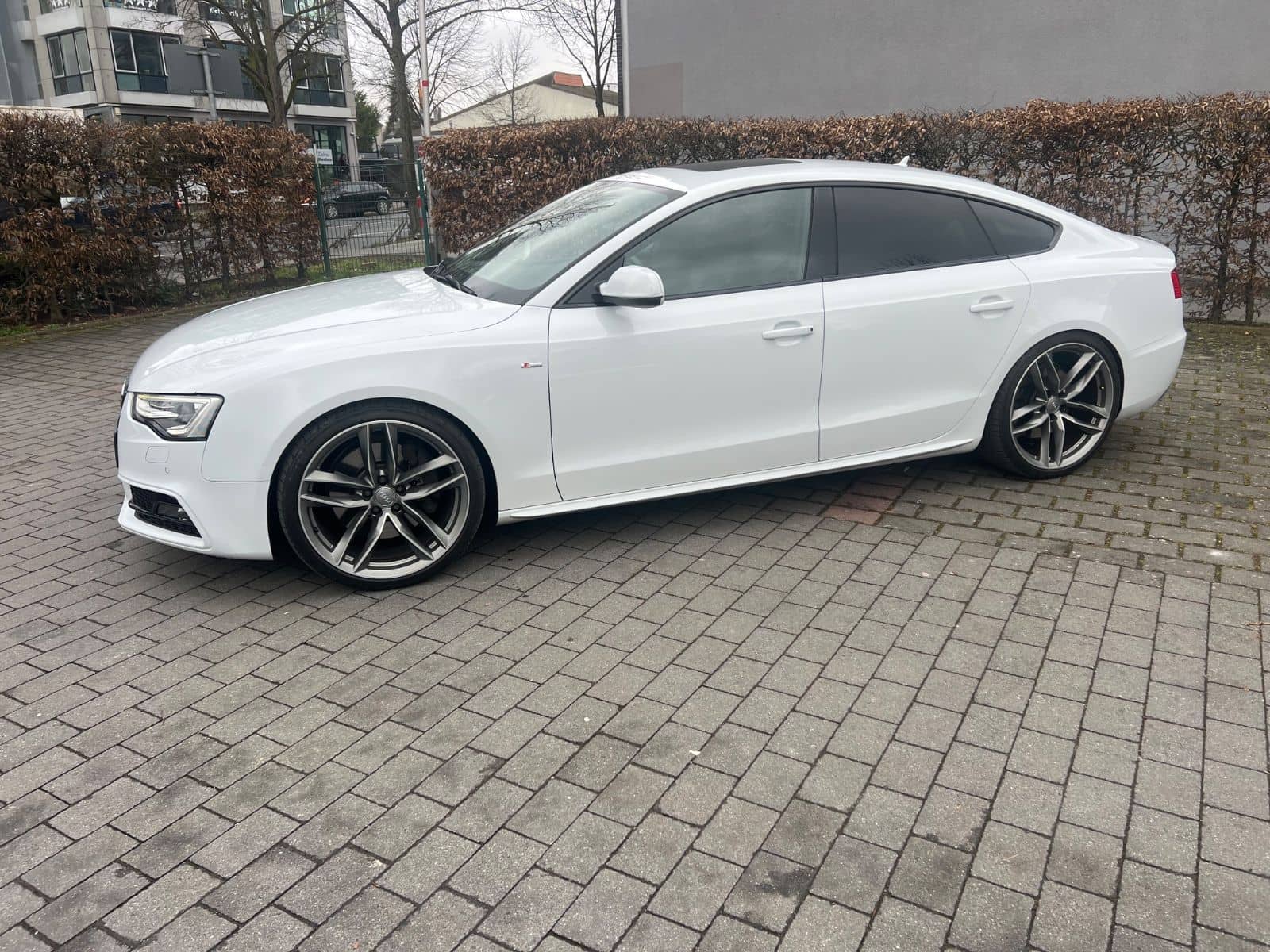 Audi A5 Sportback 3.0 TDI~quattro~S-Line~Sport Editio foto 4