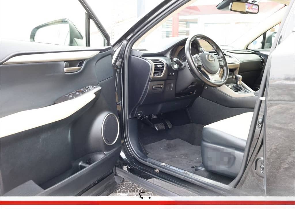 Lexus NX 300 E-Four foto 13