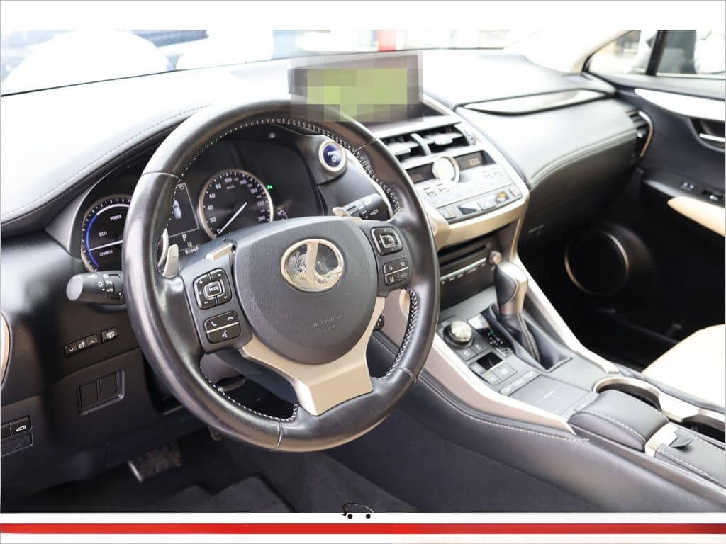 Lexus NX 300 E-Four foto 14