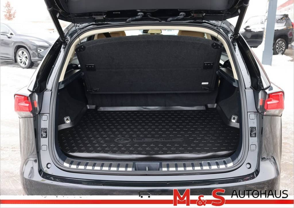 Lexus NX 300 E-Four foto 6